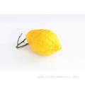 Natural High Quality Citron Fruit